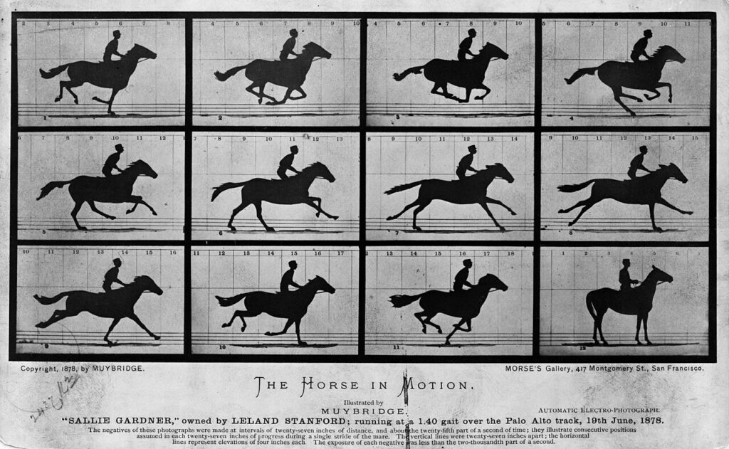 The Horse in Motion: Muybridge’s 1878 sequence of the mare Sallie Gardner galloping